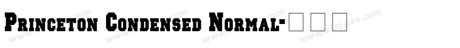 Princeton Condensed Normal字体转换